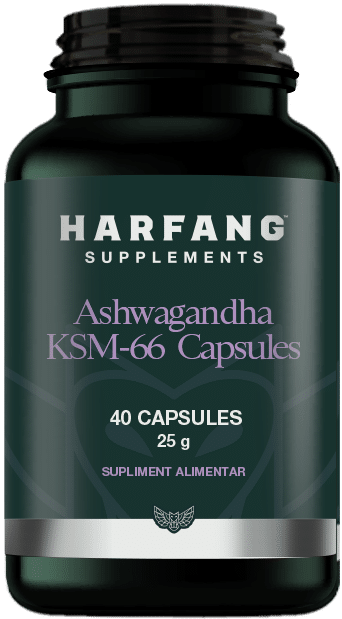 harfang-s-b-big-2